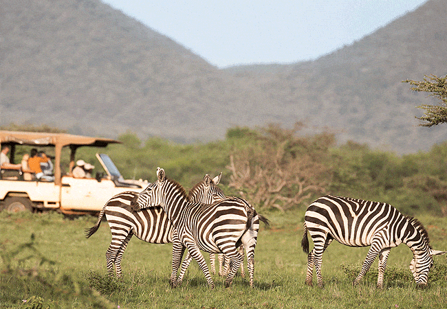 Finch Hattons Camp Luxury Tented Suites