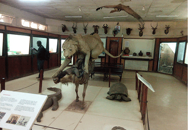 acacia-premier-hotel-kisumu-museum-is-located-in-kisumu-town-along-the-kisumu –kericho-highway-within-milimani-estate Acacia Premier Hotel Kisumu