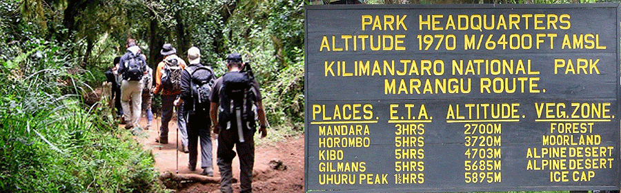 Kilimanjaro short Treks/ Hikes