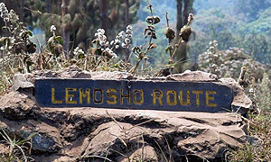 7 Days 6 Nights Climbing Mount Kilimanjaro Lemosho Route