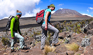 7 Days 6 Nights Climbing Mount Kilimanjaro (Rongai route) -From Arusha or Moshi Tanzania