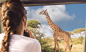 7 Day Tanzania Safari – Nyerere (Selous), Ruaha & Mikumi (Driving) From Dar-es-salaam 