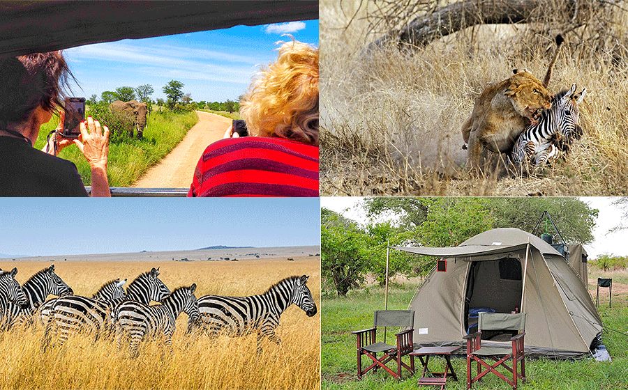 Tanzania Budget Camping Safaris
