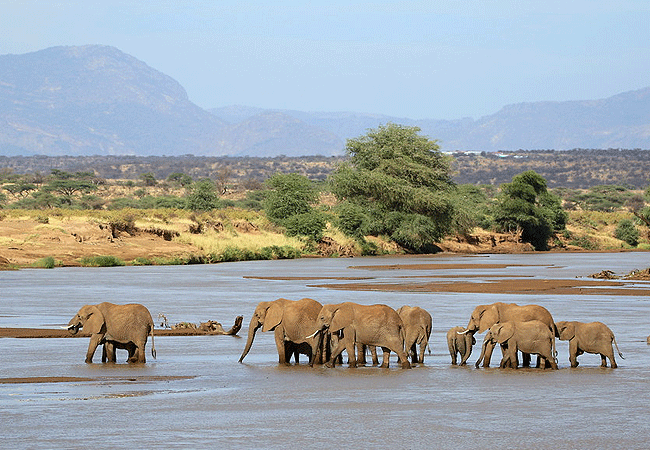 Samburu Elephant Lodge