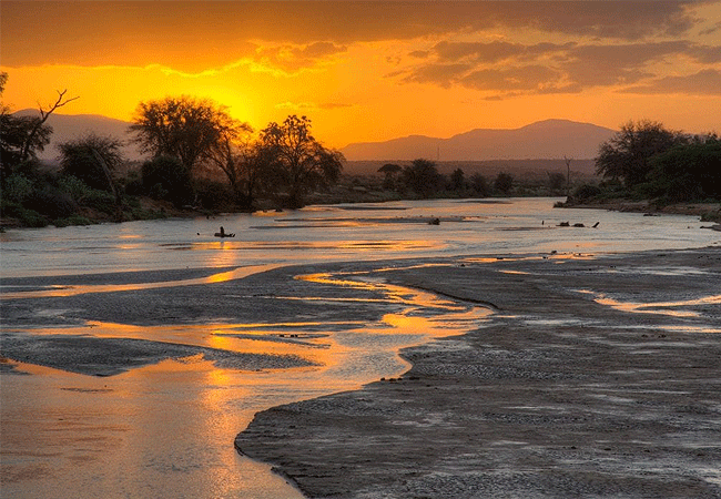 Samburu Elephant Lodge