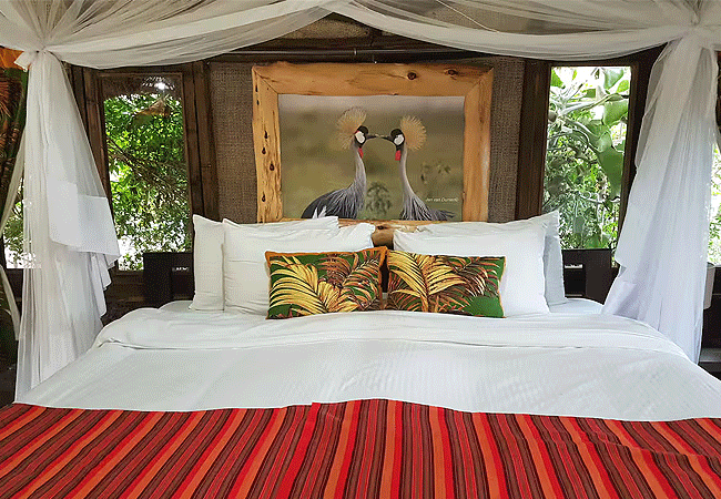 swara-acacia-lodge-swara-plains-conservancy-classic-cottage Swara Acacia Lodge Swara Plains Conservancy