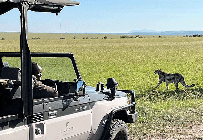 JW Marriott Masai Mara Lodge