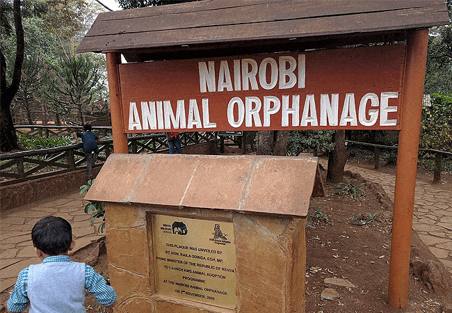 Nairobi Animal Orphanage