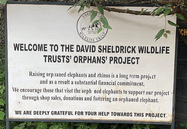 Daphne Sheldrick Wildlife Trust Elelphant Orphanage