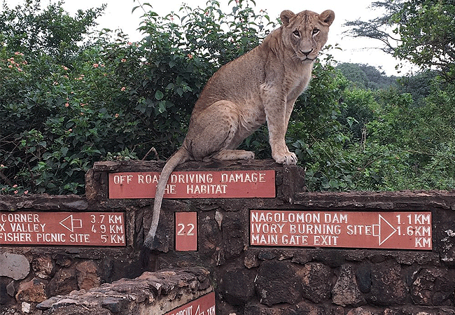 Nairobi National Park