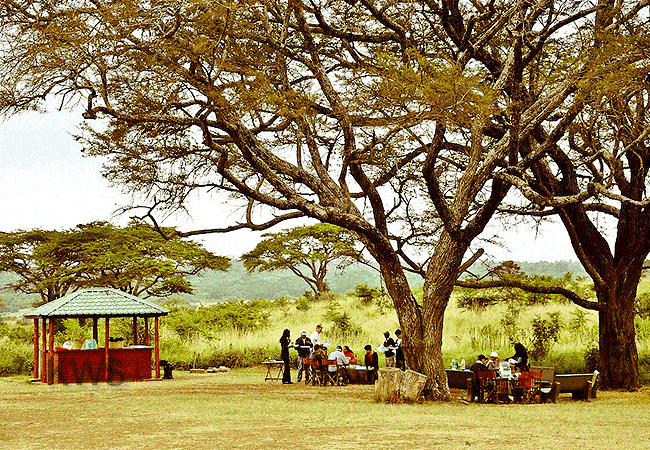 Nairobi National Park