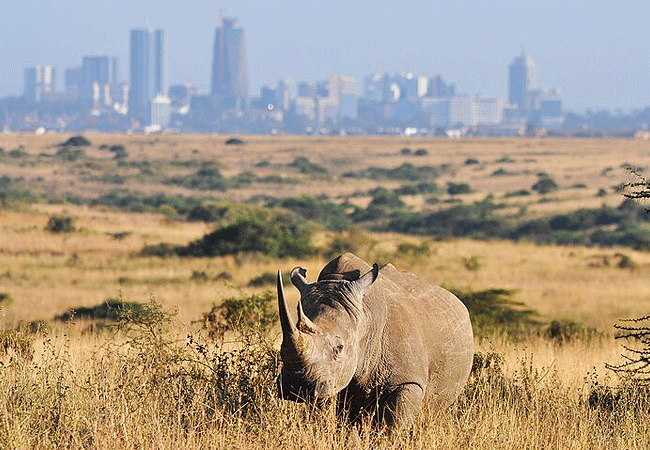 Nairobi National Park