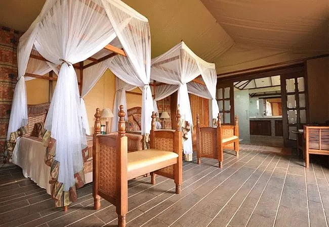 3 Days 2 Nights Kilima Safari Camp Amboseli Fly-In Safari from Nairobi