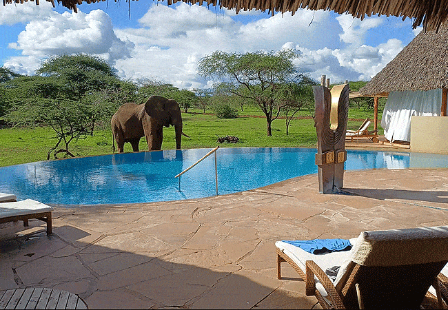 3-day-severin-safari-camp-kitani-tsavo-west-road-safari-has-a-refreshing-pool-that-invites-you-to-relax 3 Day Severin Safari Camp Kitani Tsavo West Road Safari