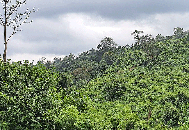 Aberdare National Park