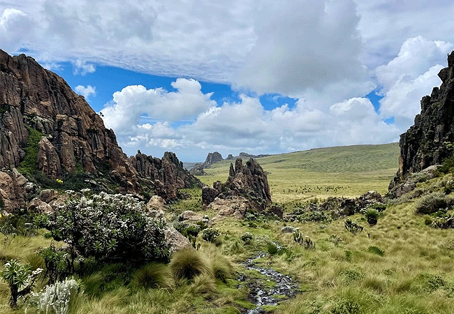 Aberdare National Park