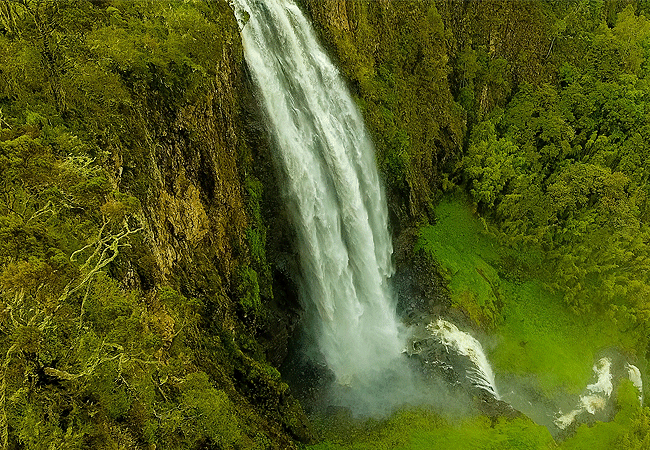 Aberdare National Park