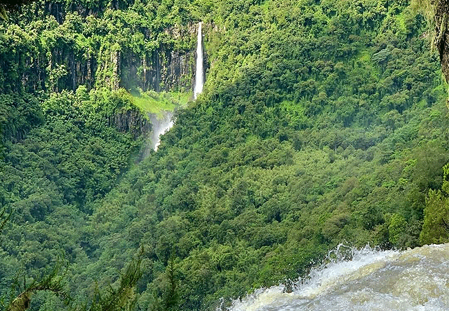 Aberdare National Park