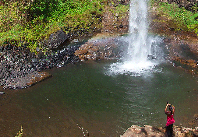 Aberdare National Park