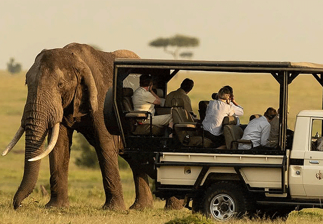 Karen Blixen Camp Masai Mara