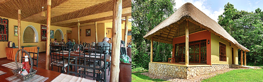 Primate Lodge Kibale National Park Uganda