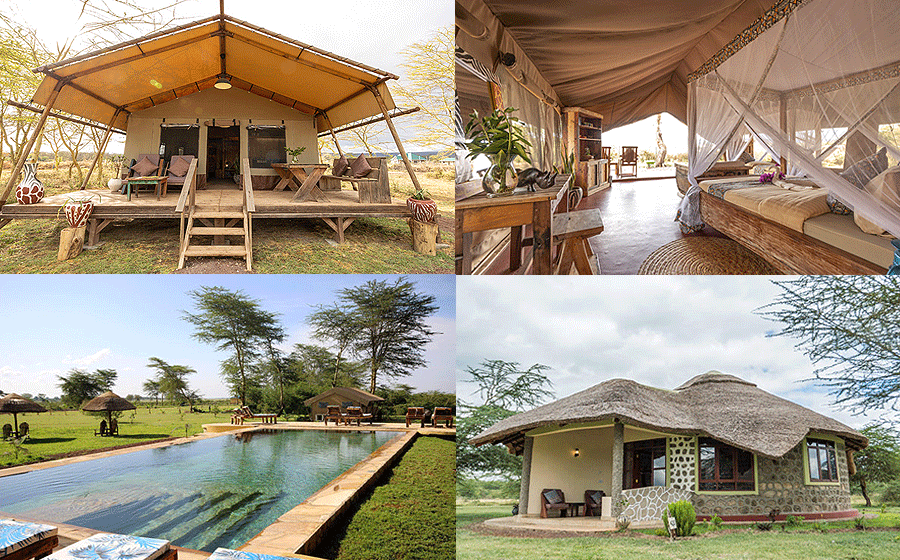 Africa Safari Lake Manyara Lodge Tanzania