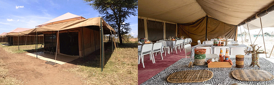 Serengeti Wild camp