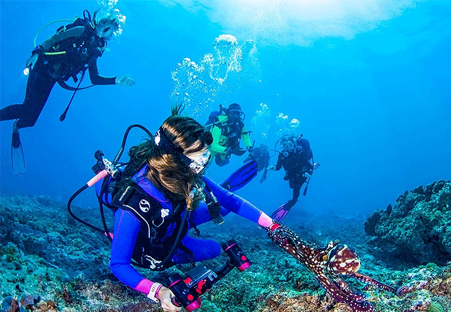 kisite-mpunguti-marine-park-kenya-kenya-scuba-diving Kisite Mpunguti Marine Park & Reserve Kenya