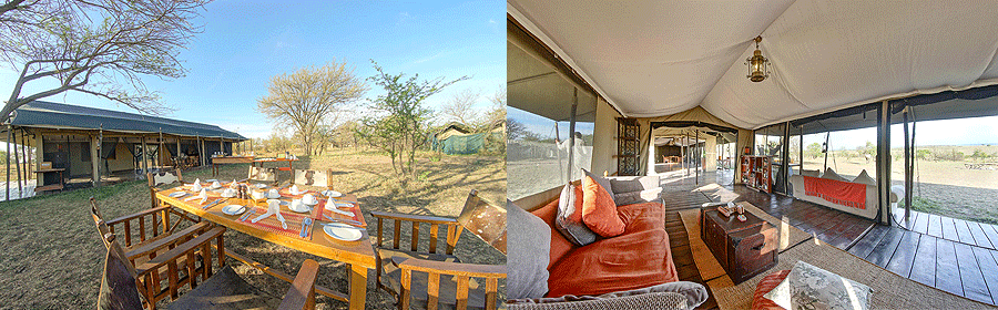 Lemala Mara Tented Camp Serengeti