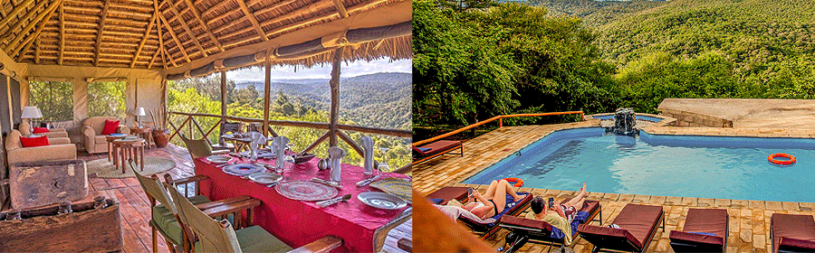 Ngorongoro Forest Tented Lodge Tanzania