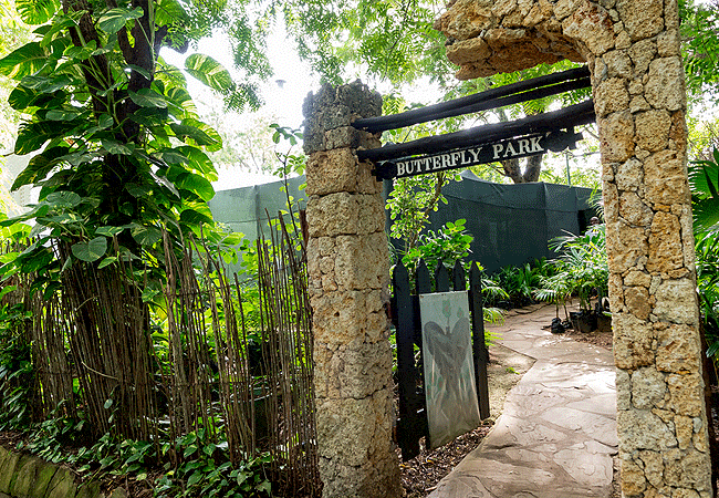 Serena Beach Resort & Spa in Mombasa