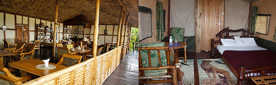 Gorilla Mist Camp Lodge in Ruhija Bwindi Impenetrable National Park