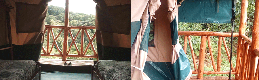 Ruhija Community Rest Camp Bwindi Impenetrable National Park