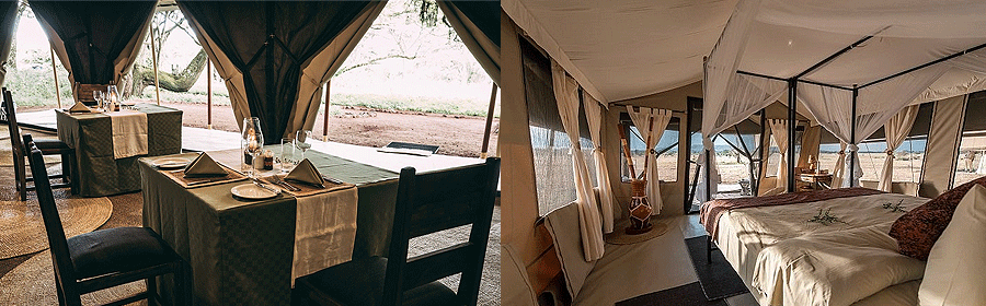 Lake Manyara Tortilis Camp