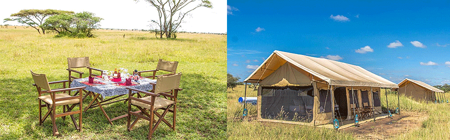 Mawe Camp Serengeti Tanzania