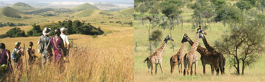 Chyulu Hills National Park Tsavo & Amboseli Kenya