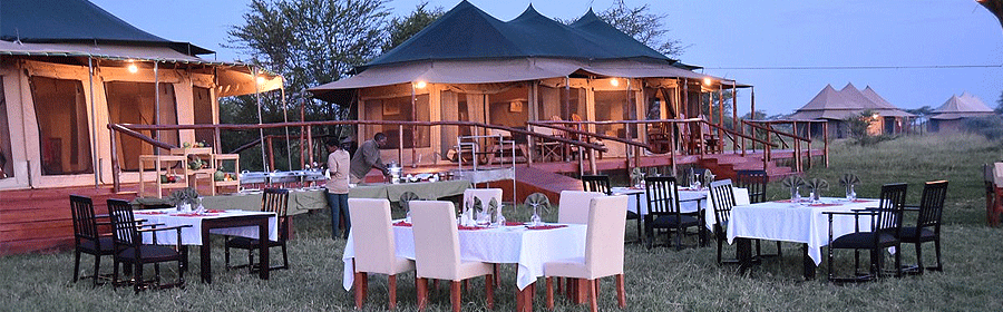 Acacia Seronera Luxury Camp Serengeti Tanzania