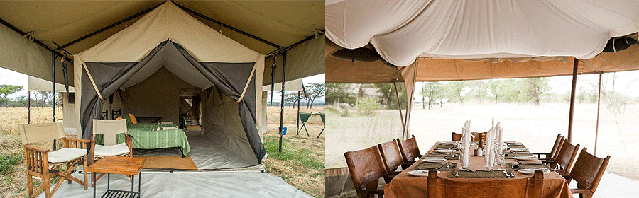 Ndutu Kati Kati Tented Camp Serengeti Tanzania