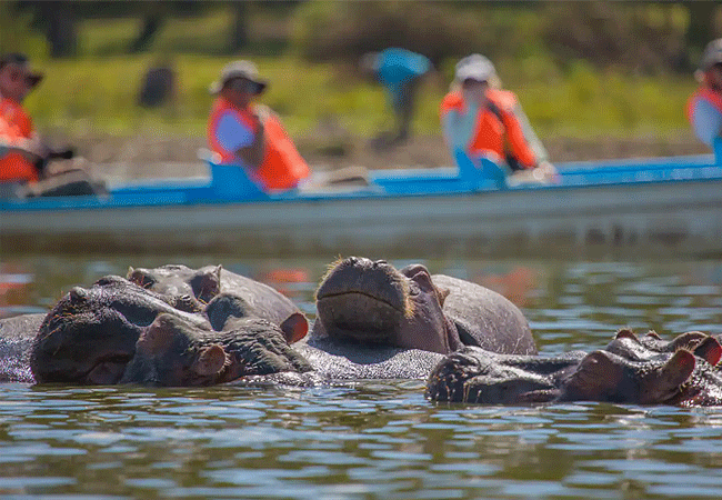 Crescent Island wildlife