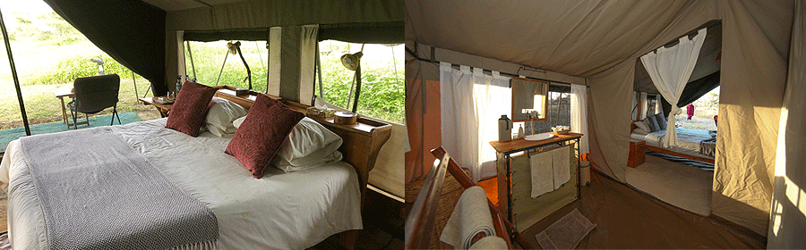 Ndutu Wilderness Camp Ngorongoro Crater