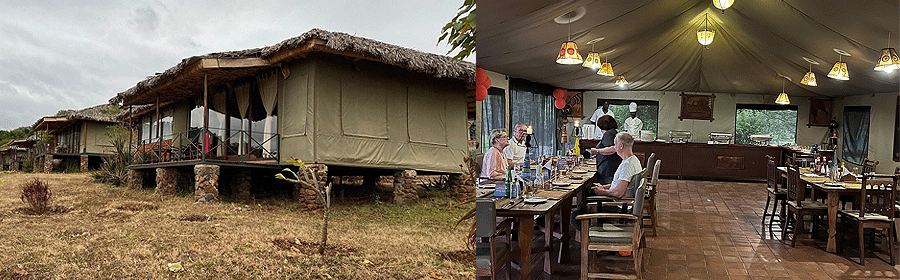 Karatu Simba Lodge Ngorongoro Tanzania