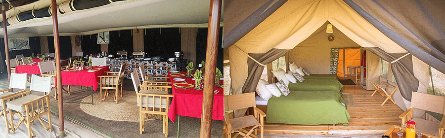 Serengeti Kuhama Camp Tanzania