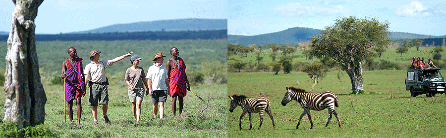 Leleshwa Seasonal Camp Masai Mara