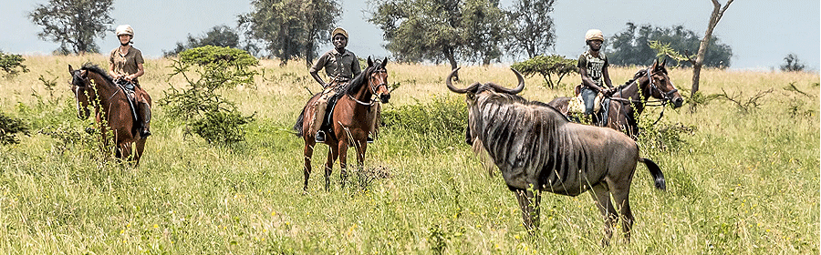 Masai Mara Horseback Riding Safari 2 Hours