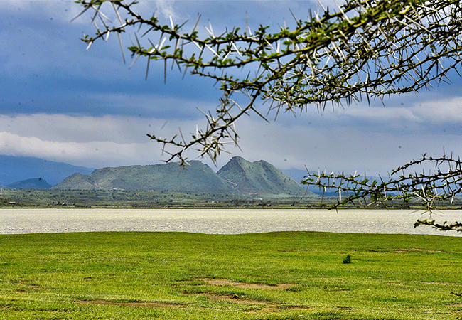 lake-elementaita-wildlife-sanctuary Lake Elementaita Wildlife Sanctuary