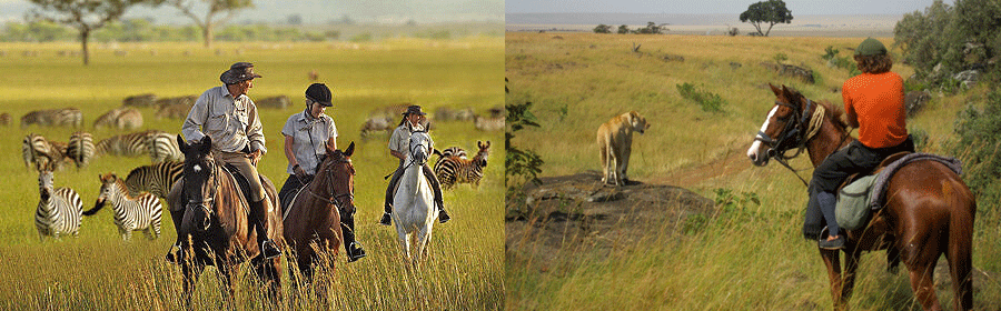 Masai Mara Horseback Riding Safari 2 Hours