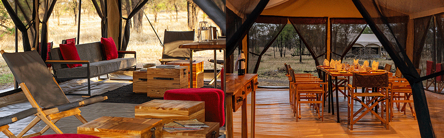 Osero Camp Serengeti National Park Tanzania