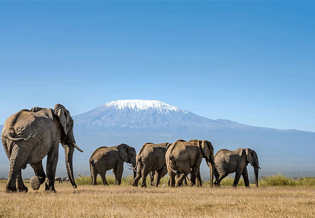 angama-amboseli-luxury-safari-lodge Angama Amboseli Luxury Safari Lodge