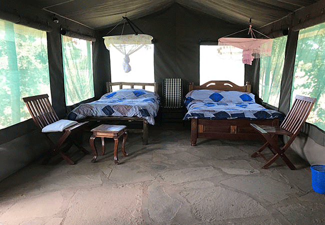 manjaro-tented-camp-amboseli-national-park-tent Manjaro Tented Camp Amboseli National Park