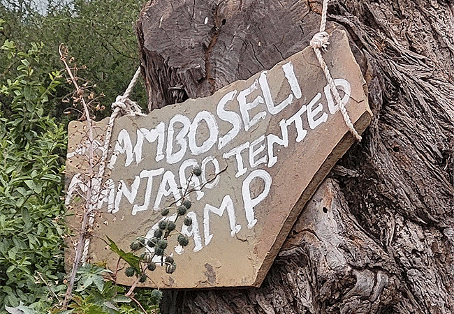 manjaro-tented-camp-amboseli-national-park Manjaro Tented Camp Amboseli National Park